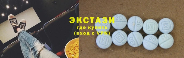 ECSTASY Гусь-Хрустальный